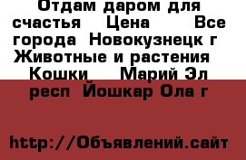 Отдам даром для счастья. › Цена ­ 1 - Все города, Новокузнецк г. Животные и растения » Кошки   . Марий Эл респ.,Йошкар-Ола г.